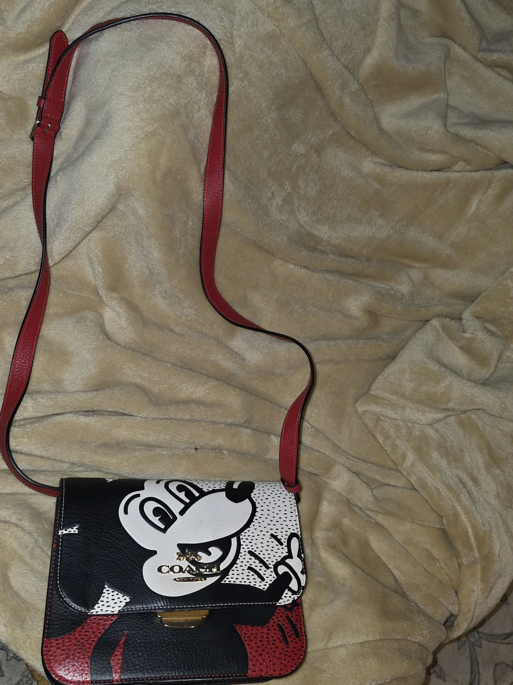 Coach disney leather